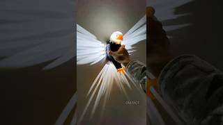 इलेक्ट्रिक ईगल बल्ब  Electric Eagle Bulb facts youtubeshorts [upl. by Dina]