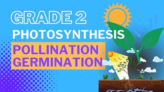 Grade 2 Lesson On Plants Photosynthesis Pollination Germination [upl. by Aihsenad823]