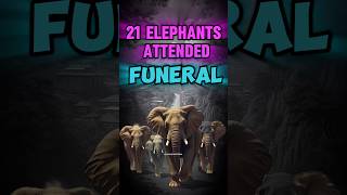 21 Elephants Attend a Funeral 😮 animals elephant emotional KnowledgePedia2023 [upl. by Kahn]