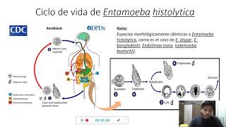 Entamoeba histolytica y su ciclo biológico [upl. by Sibelle309]