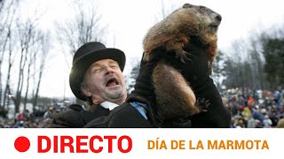 DÍA de la MARMOTA Phil vaticina seis semanas más de invierno  RTVE Noticias [upl. by Elrae707]