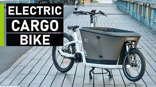 Top 10 Best Electric Cargo Bikes [upl. by Maudie]