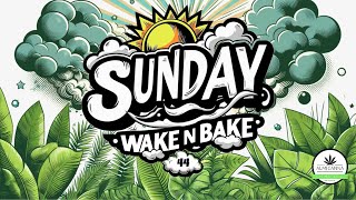 Cannafriends messe  random stuff 🥳 Sunday Wake ’n Bake [upl. by Znieh]