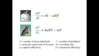 Predation Part 3 Exploitation amp Population Cycles [upl. by Elfrieda]