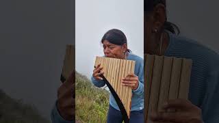 YOU RAISE ME UP panflute quenacho quena nativeflutes zampoña livemusic [upl. by Atihcnoc66]