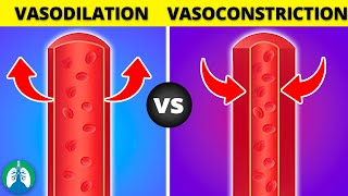 Vasoconstriction vs Vasodilation EXPLAINED [upl. by Nesilla]