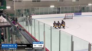 Wayzata 15UA Vs Edina White [upl. by Amanda]