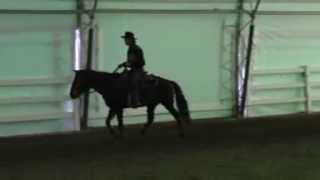 How to Stop Horse Bucking Part 3 Mike Hughes Auburn California [upl. by Akirrehs564]