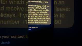 Job Scam Text  Customer Service Representative at LOYALTYLION [upl. by Smukler]