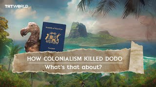 Dodo A bird that colonialism wiped off face of earth [upl. by Henarat]