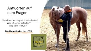 Die Westernreitstunde Hyperflexion der Halswirbelsäule Ursache und Maßnahmen [upl. by Aenahs]