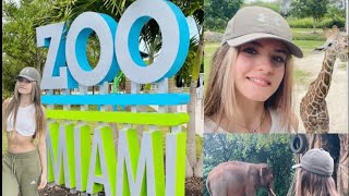 ZOO MIAMI  🦒🌴 Visitando el zoológico de Miami precios 🐘 VALE LA PENA IR 🦧✨ [upl. by Ailehs]