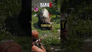 Did you know İn Rdr2 🤠🔥 Rarest legendary animals rdr2 reddeadredemtion2 gaming [upl. by Arihppas910]