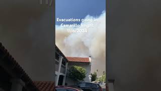 Camarillo heights in California being evacuated [upl. by Henke]