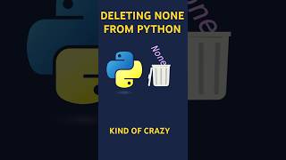 Deallocating None from Pythons runtime python pythonprogramming coding bug programming [upl. by Airom]