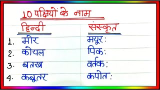 10 पक्षियों के नाम संस्कृत में  pakshiyon ke naam sanskrit mein  sanskrit mein pakshiyon ke naam [upl. by Nnylrac]