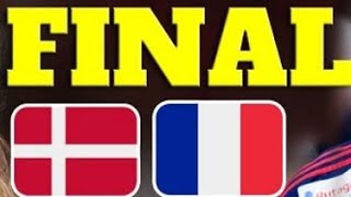 France vs Denmark Handball Final Live Match [upl. by Annamaria]