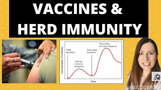 Alevel Biology VACCINATIONS Passive and Active Immunity The importance of HERD IMMUNITY [upl. by Ok]