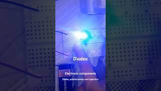 Electronic components diodes potentiometers and capacitors arduino electronics circuit [upl. by Karoly]