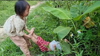 landslide tree fell near the house sister picked fruit to sell bodonthan123 [upl. by Petersen]