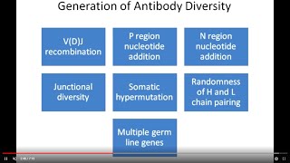 Antibody diversity introduction [upl. by Cinelli]