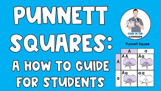 Punnett Squares A Student How to Guide [upl. by Trudie195]