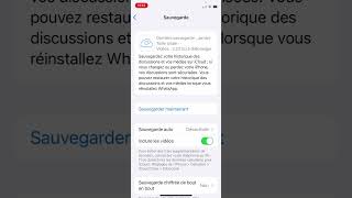 Sauvegarder les discussions WhatsApp sur iPhone avec ou sans iCloud [upl. by Noreg]