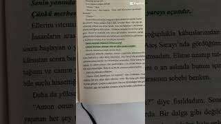 Krallar ve soytarıları keşfet booktok ngkabal wattpad keşfetbeniöneçıkar [upl. by Ahsaek]