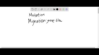 Compare and contrast the effects of globalization processes on labor migration and sport in the c… [upl. by Akerdna]