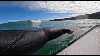 Punakaiki River Mouth session w dolphins [upl. by Asira]