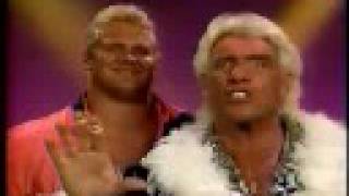 WWF Royal Rumble 92 Roster Ric Flair Hulk Hogan Undertaker [upl. by Sined437]