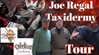 Joe Regal Taxidermy shop tour [upl. by Notsag]