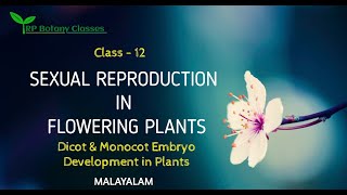 Class 12Sexual Reproduction in Flowering PlantDicot amp Monocot Embryo Development BotanyMalayalam [upl. by Cranford160]