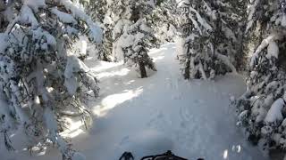 2021 SkiDoo Expedition SWT off trail [upl. by Inalawi]