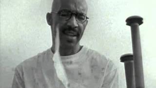 Stolen Lives Project PSA reg e gaines on Eleanor Bumpurs [upl. by Abana198]