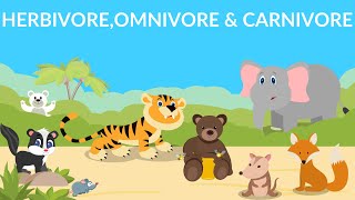 Herbivores  Carnivores  Omnivores  Types of Animals [upl. by Gabor]