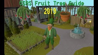 OSRS Fruit Tree Guide 2019 [upl. by Sterrett]