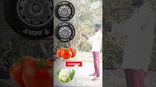 Car wheel to Vegetable vfx youtubeshorts [upl. by Chambers952]