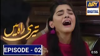 Teri Rah Mein Episode 2  ARY Digital Drama  teri rah mein 2 teaser  Teri Rah mein 2 Promo [upl. by Heath]