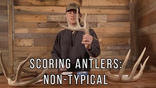 How To Score an Easy Non Typical Side  Antler Scoring [upl. by Pier163]