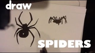 How to Draw a Spider  Easy Pictures to Draw [upl. by Dex726]