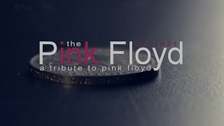 Money  Pink Floyd  Cover live by The Pink Floyd Project [upl. by Ikcim115]