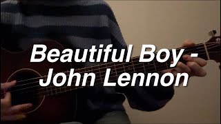 Beautiful Boy  John Lennon acoustic cover [upl. by Nosyarg]