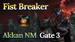 Lost Ark1580 Fist BreakerBuild 20  Akkan NM G3 [upl. by Benedict]