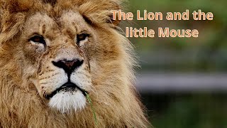 The Lion and the Mouse [upl. by Fara]