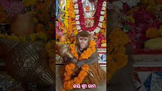 song hanuman love bajrangbaan [upl. by Jeramie628]