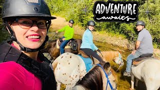 Unforgettable Glamping Experience with Horses in Missouri [upl. by Ilyak]