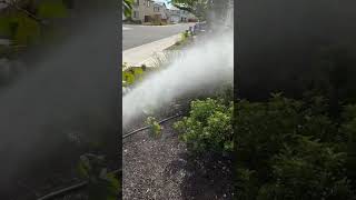 Sacramento Keep Your Home looking NEW Prerinses vid 2of4 pressurewashing softwash [upl. by Cichocki198]