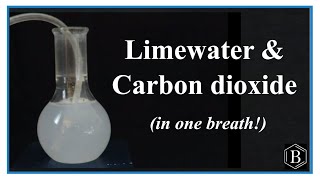 Testing for CO2 Carbon dioxide with Limewater [upl. by Giffie]