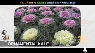 SPOKEN ENGLISH VOCABULARY HINDI BANGLA TELUGU TAMIL URDU KANNADA MALAYALAM SUMMER FALL FLOWERS 2024 [upl. by Karlen]